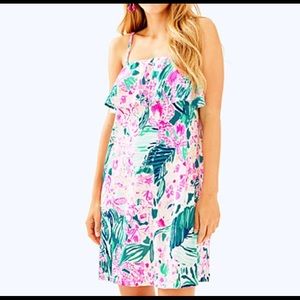 NWT Lilly Pulitzer Annastasha Dress